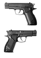 fort-12r traumatic gun