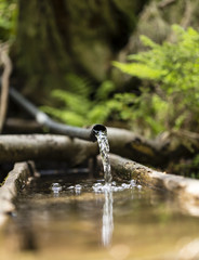 Obraz premium Water from a plastic pipe