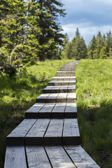 Obraz premium Wooden board way leading somewhere