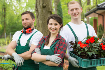 Team of gardeners carrying box of cuttings