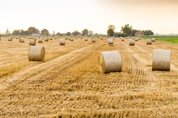 hay bales