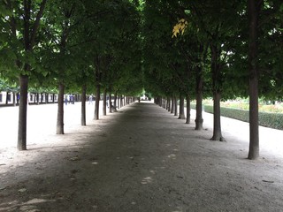 jardin du Palais Royal Paris France