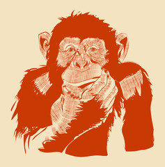 The graphic image of a monkey.Vector eps 10