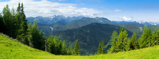 Gordijnen Zadelbalg Kordezeva Glava / Peca-heuvel, Karavanke-gebergte, Slovenië / Oostenrijk - prachtig landschap van toppen van de Kamnik-Savinja-alpen van de Alpen op de achtergrond. Lente / zomer zonnige tijd. © M-SUR