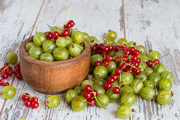 Freshly picked gooseberries and redcurrants.   Freshly picked gooseberries and redcurrants in a wooden bowl on a light wooden table.