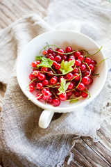 Red currant