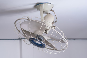 The old ceiling fan.