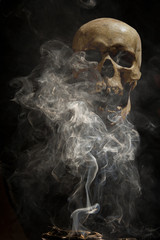 smoke cigars on the background of a human skull