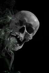 smoke cigars on the background of a human skull