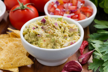 guacamole sauce, tomato salsa and corn chips
