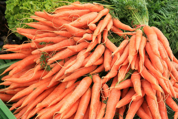 A pile of carrots on a farmer's market