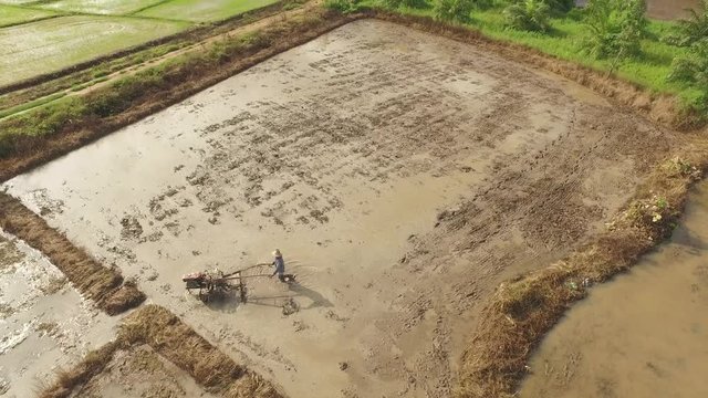 Thai farmer using walking tractor for cultivated soil for prepare plantation