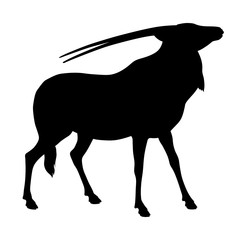 oryks adult antelope vector illustration black silhouette