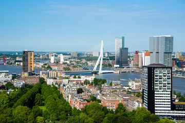 Panorama von Rotterdam mit Erasmusbrücke, Holland 