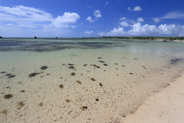 佐和田の浜　伊良部島