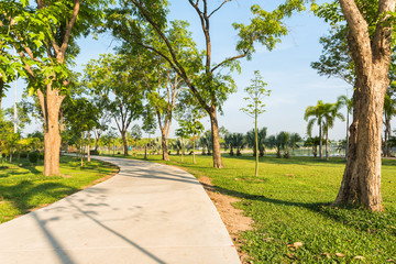 Concrete road at the park for jogging