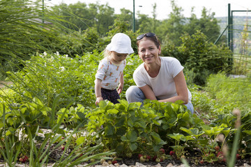 Mutter mit ihrer kleinen Tochter im Schrebergarten beim Erdbeere