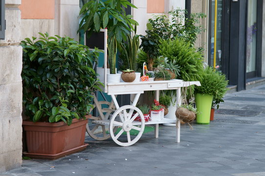 il carrello bianco del fioraio