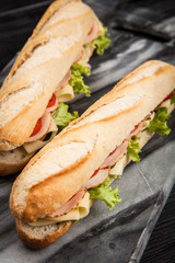 Panini grilled sandwich