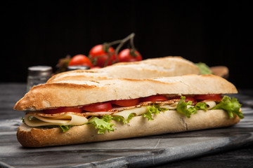 Panini grilled sandwich