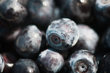 shiny with matte touch of blueberries close-up