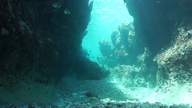 Underwater landscape, crevasse with fish in the upper fore reef, motionless scene, Pacific ocean, French Polynesia
