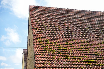 Moos auf Dach