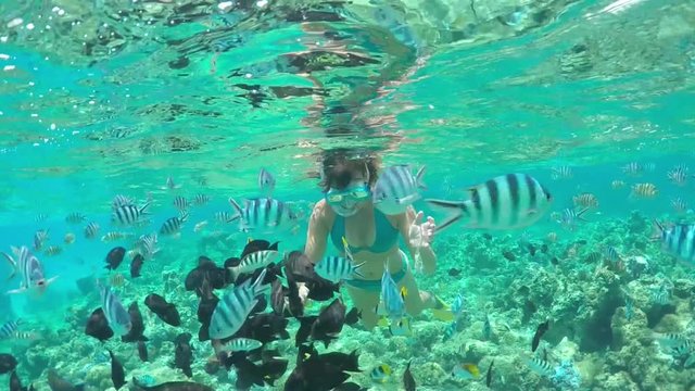 SLOW MOTION UNDERWATER: Woman snorkeling exotic reef with tropical fish