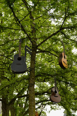 Gitarren am Baum