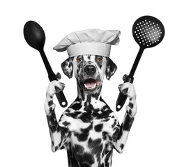 Dog chef is going to prepare meals