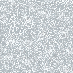 Seamless background with blue chrysanthemums - 115741542