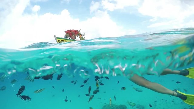 SLOW MOTION UNDERWATER: Woman snorkeling and feeding exotic reef fish