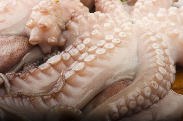 Fototapeta premium fresh octopus with potatoes and parsley on wood