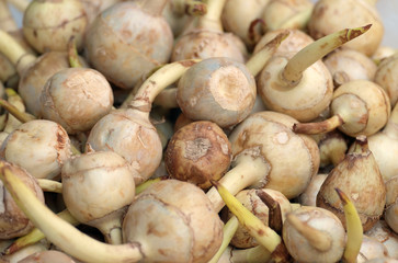 China truffle fruit / View of raw china truffle fruit.