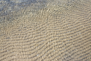 Calm sea surface. Shallow water under the bright day sun.
