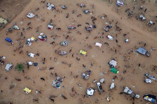 Aerial view of Pushkar Camel Fair, Pushkar, Rajasthan, India