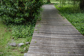 Wooden bridge in a forest along the trekking path