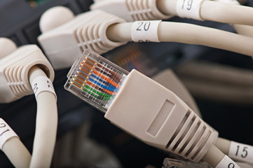 Computer networks, new technologies, computer technologies and the internet.