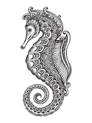 Hand drawn graphic ornate seahorse - obrazy, fototapety, plakaty