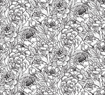 Vector seamless pattern with hand drawn peony flowers. 
