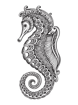 Hand drawn graphic ornate seahorse