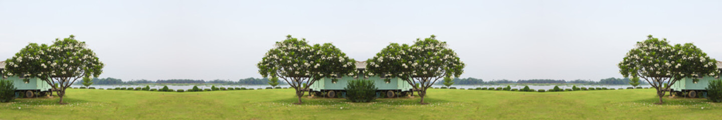 Grass field and various trees on background