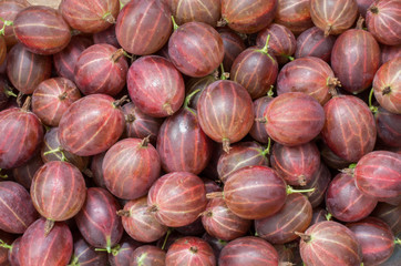 Texture red berries gooseberries.