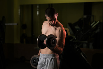 Fototapeta na wymiar Biceps Exercise With Dumbbell