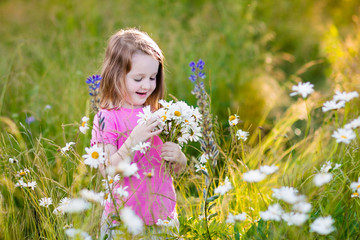 Little girl in daisy flower field
