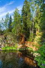 Fototapeta na wymiar Karelian forest Russia 