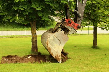 baum ausbaggern I