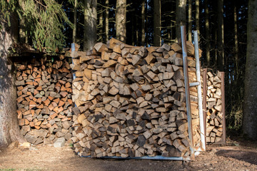 Gestapelte Holzscheite im Wald