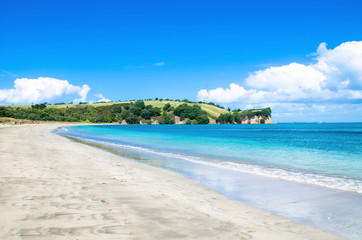  Te Haruhi Bay, Shakespear Park in New Zealand.