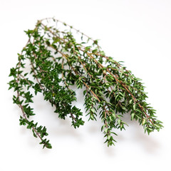 Fresh organic thyme herb, isolated on white. Photographed with shallow depth of field.